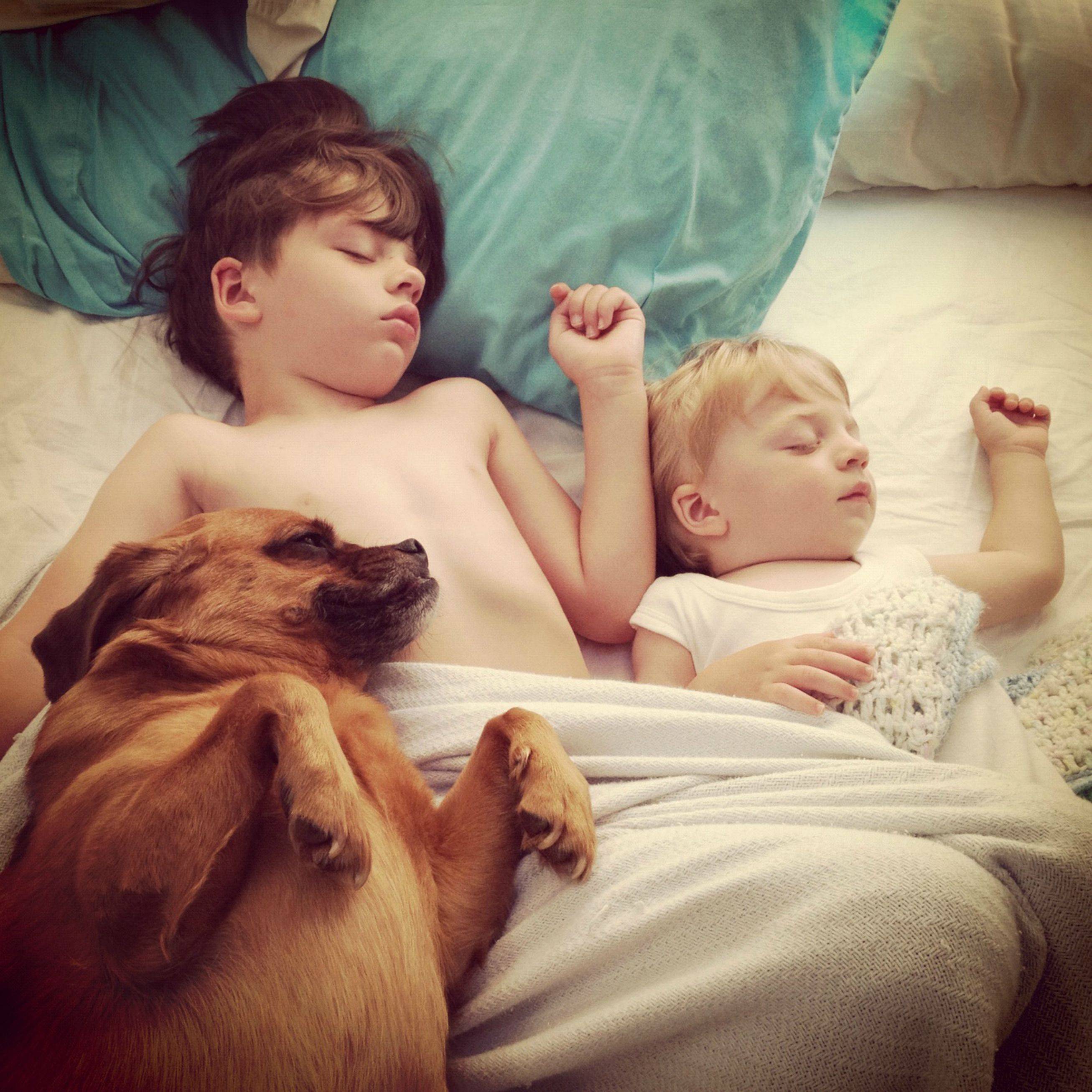 Понравились собачки. Домашние животные для детей. Собака для детей. Фотосессия с домашним питомцем. Дети спят с животными.