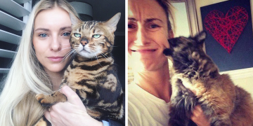 Selfie’nin Dünyanın En Gereksiz Şeyi Olduğunu Düşünen 19 Sevimli Kedi