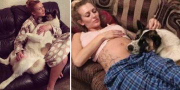 Köpek, Kadının Karnına Sürekli Bakıp Havlıyordu, Doktora Giden Kadın Gerçeği Öğrenince Çok Şaşırdı