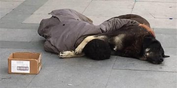 Yürek Sızlatan Fotoğraf: Taksim’de Köpeğe Sarılan Çocuk